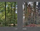 2017 026 seiten 50