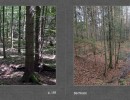 2017 028 seiten 54