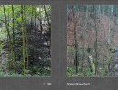 2017 030 seiten 58