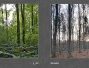 2017 031 seiten 60