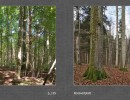 2017 032 seiten 62