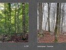 2017 036 seiten 70