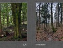 2017 044 seiten 86
