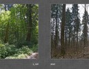 2017 045 seiten 88