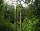 030512duerrbaum2