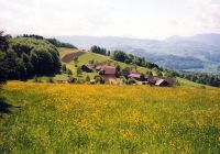 Frühling