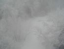 011114nebelhochwqacht