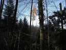 021112laercheimsihlwald
