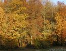 031104visavisnaturzentrum