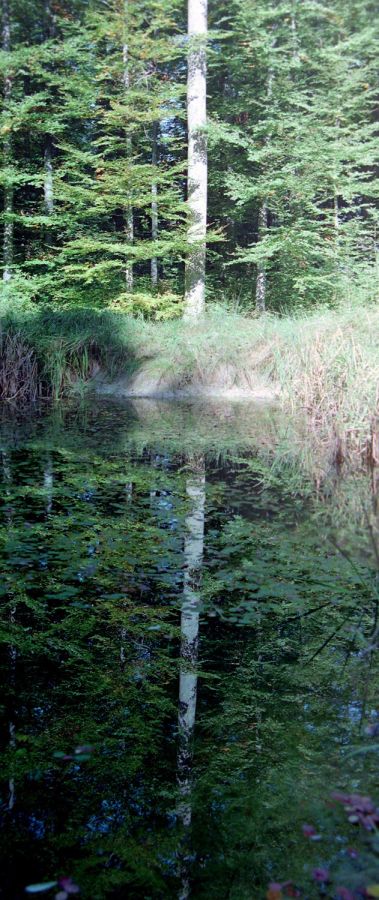 spiegelung