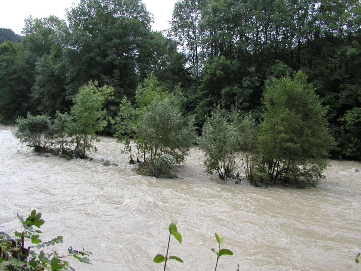 020812inselhochwassernonpano