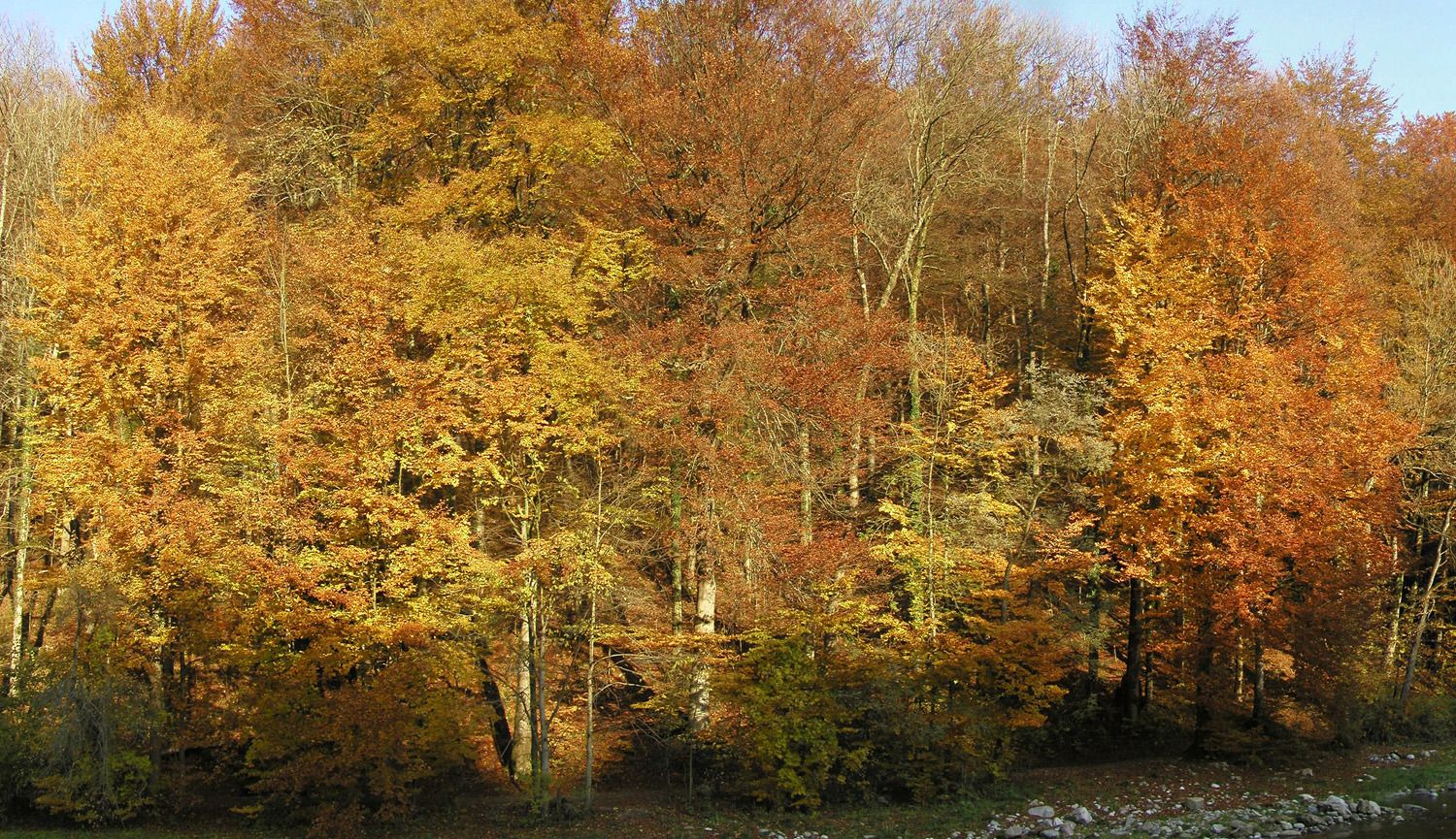 031104visavisnaturzentrum