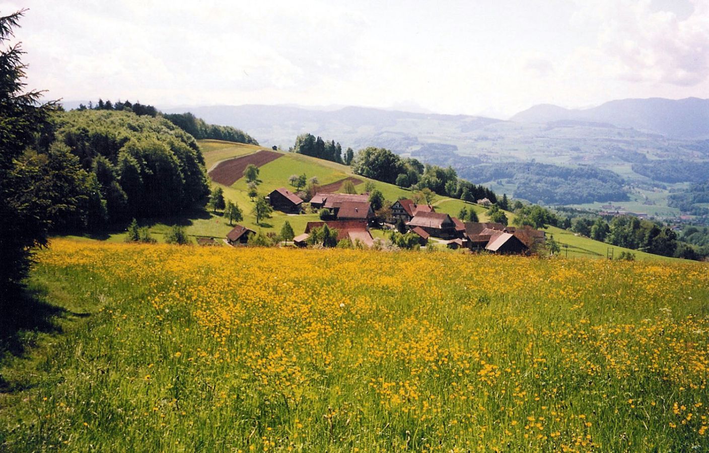 94oberalbis