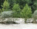 020812inselindersihl