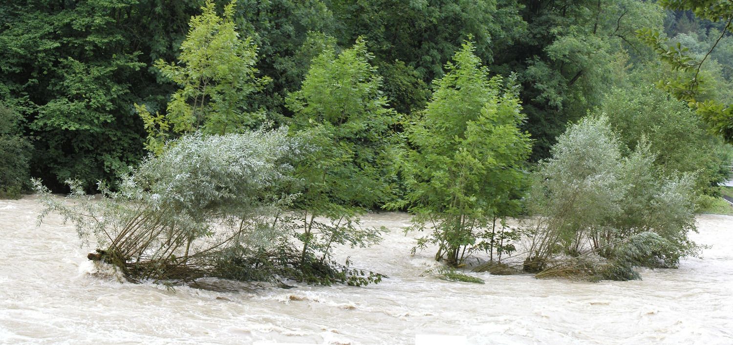 020812inselindersihl