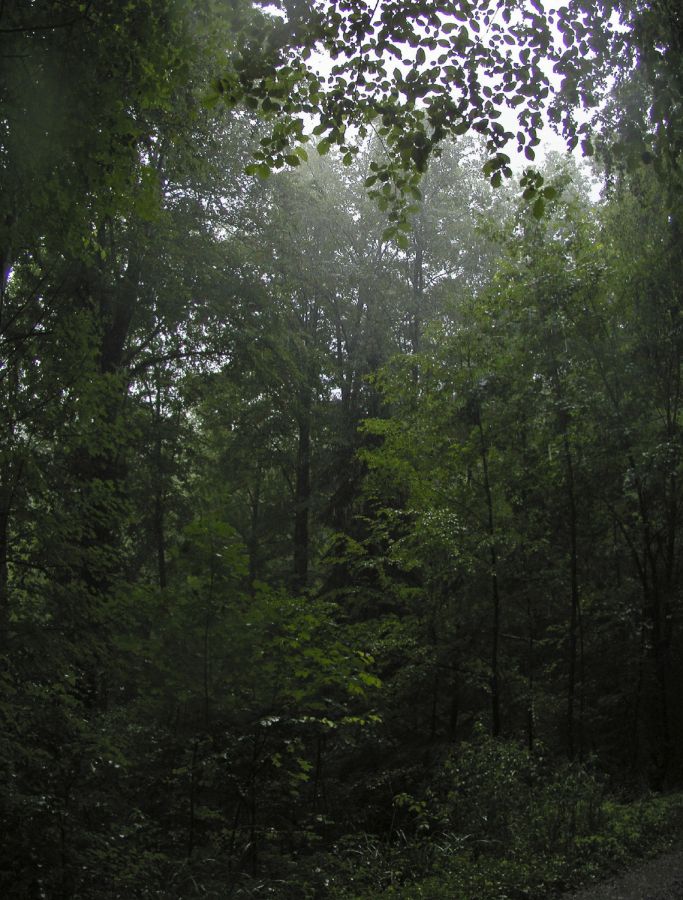 09regentag