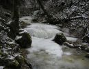 030113bach
