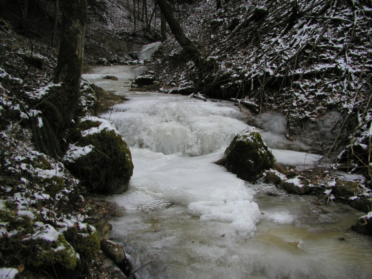030113bach