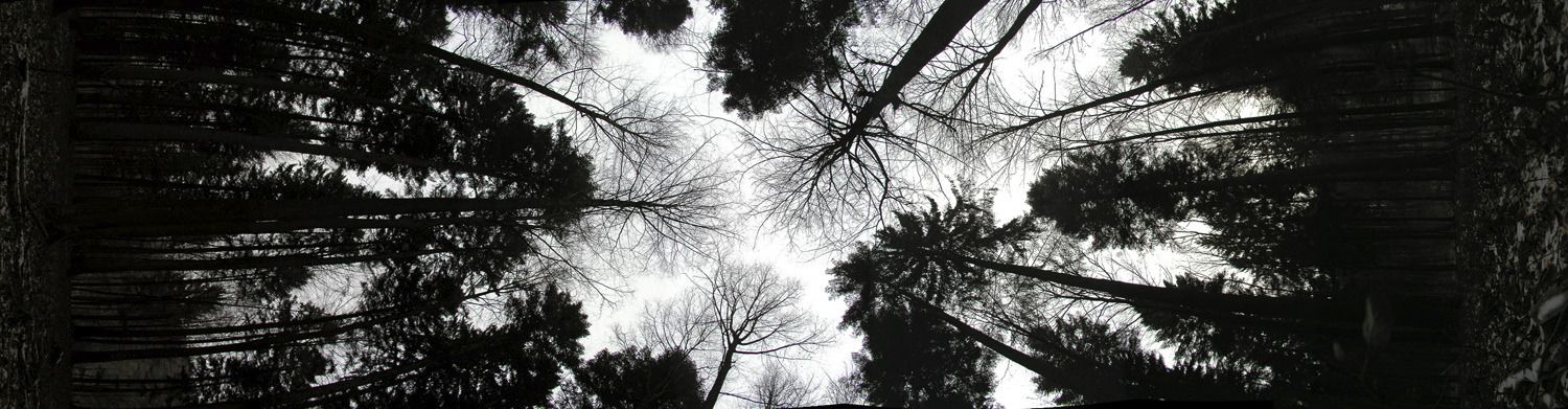 030113indenhimmel