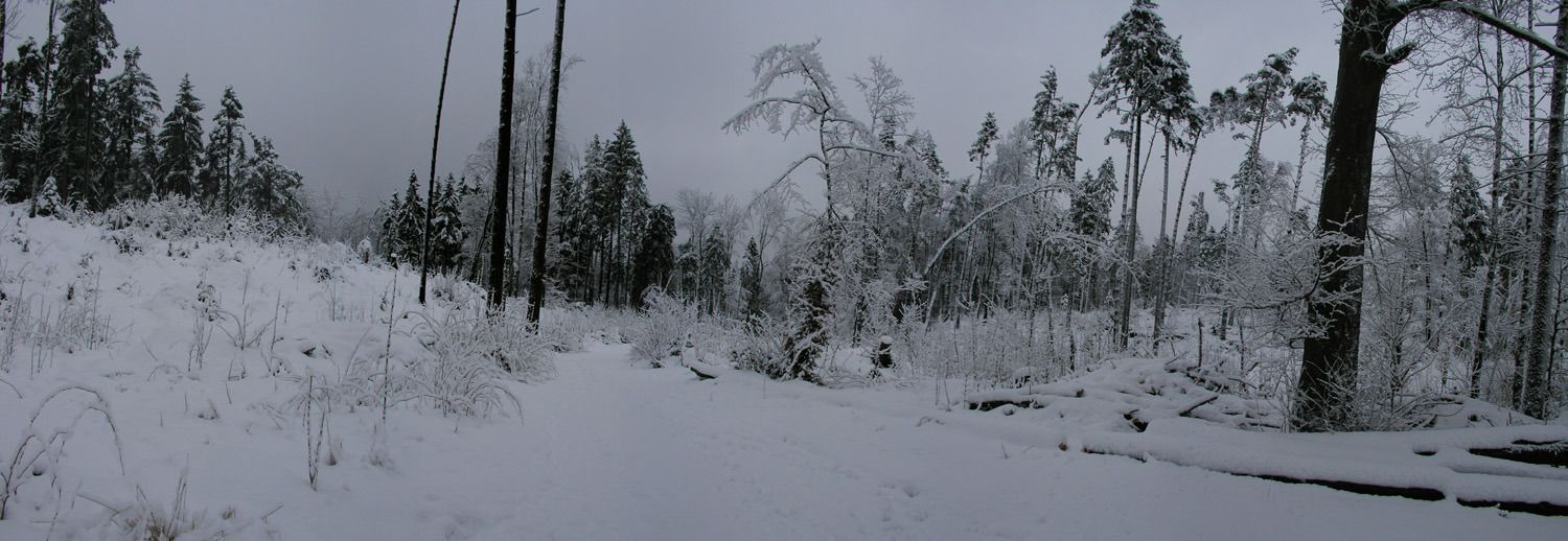 030204horgenerberg