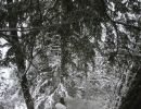 040127eibe04