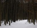 060303 img