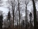 060303 pano