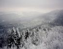 9495sihlwaldwinter