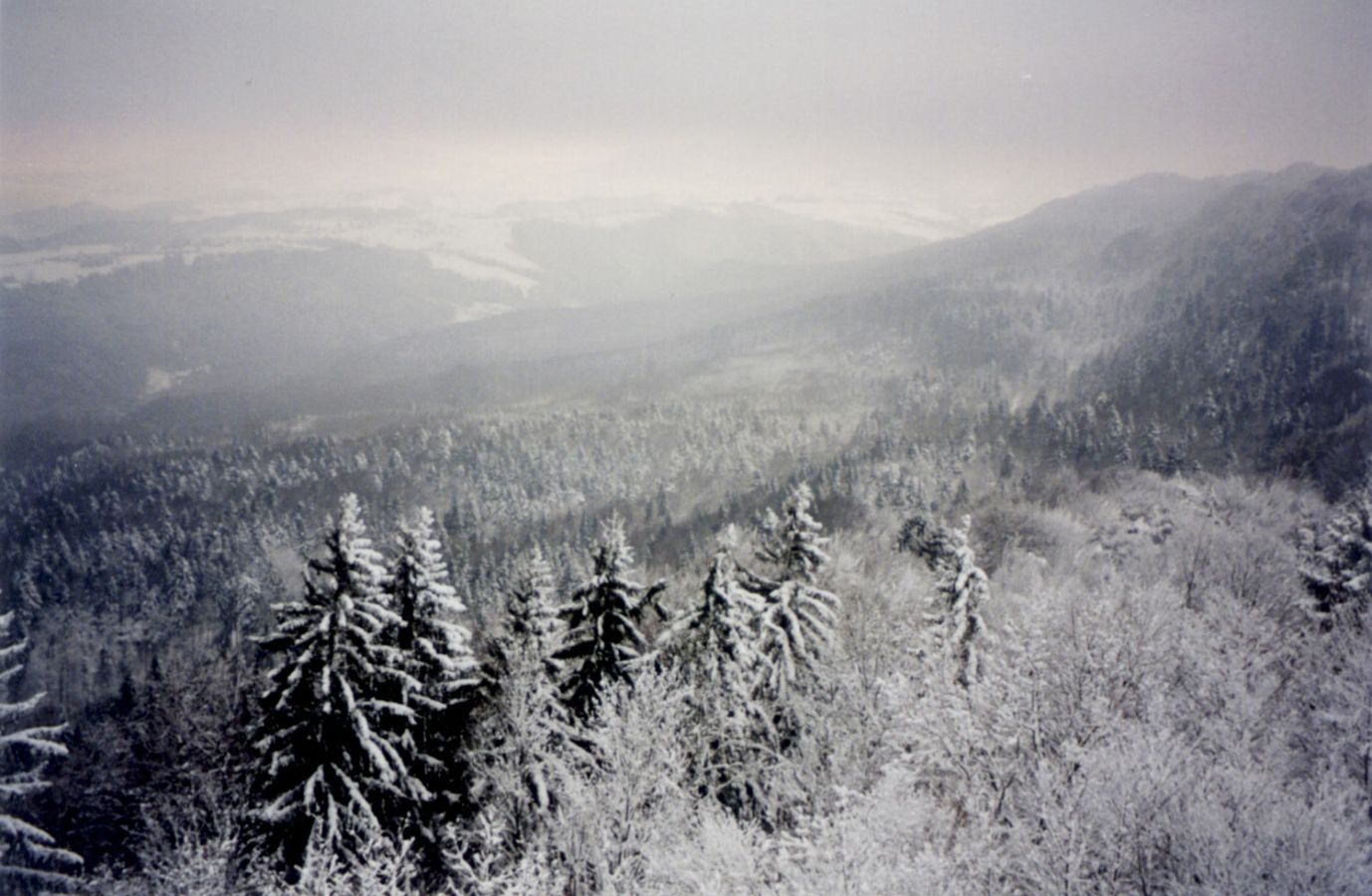 9495sihlwaldwinter