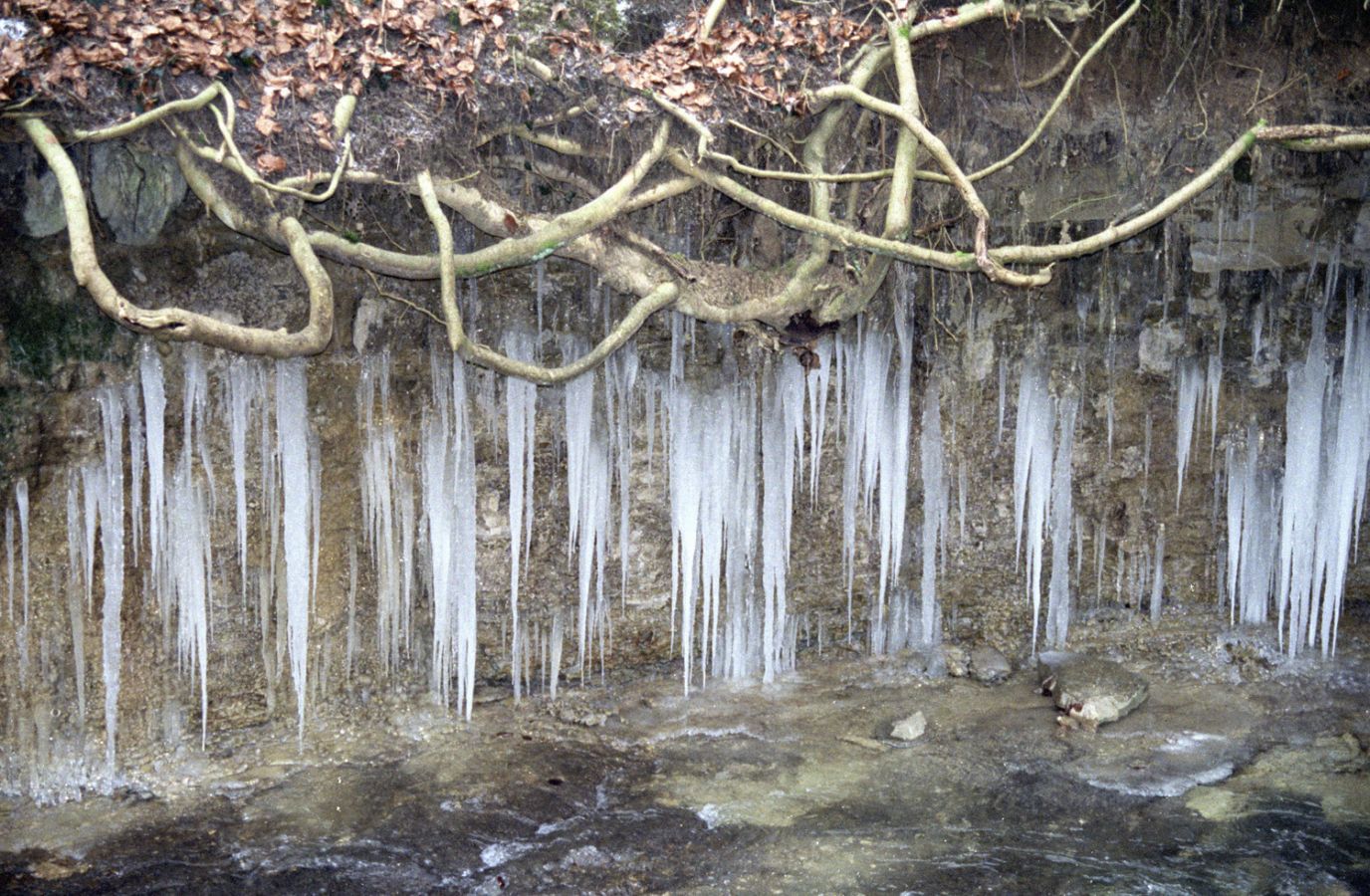 97dezemberwehrenbach07