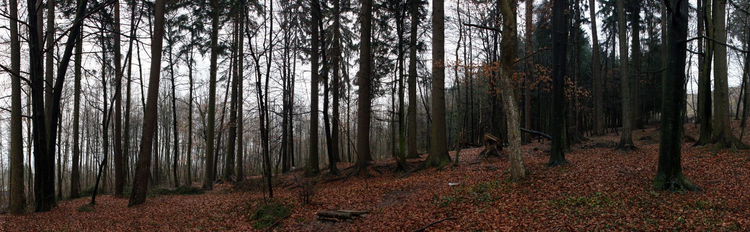 pano breitregenzugeschnitten